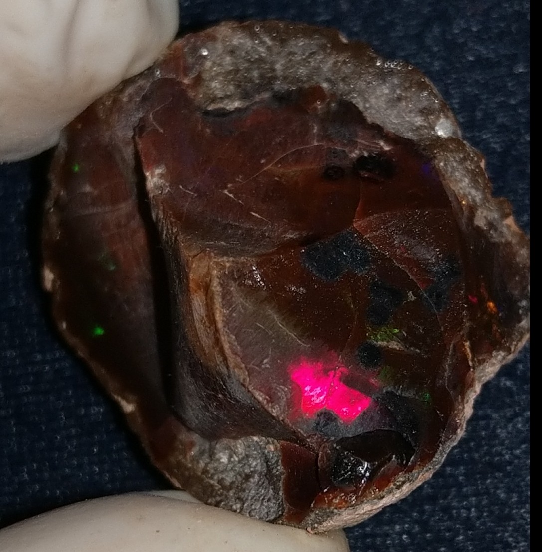 43 Carat Ethiopian Chocolate Shewa Rough Opal #6100127035