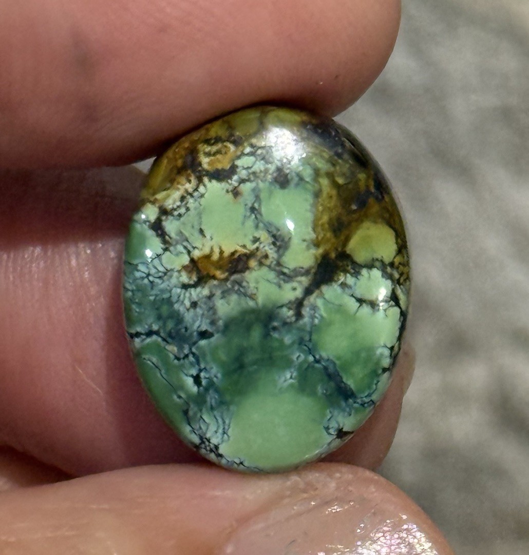 14.10ct 18.7c14.7×6.5mm Green Qingu Mine Turquoise Oval Cabochon Backed Stone
