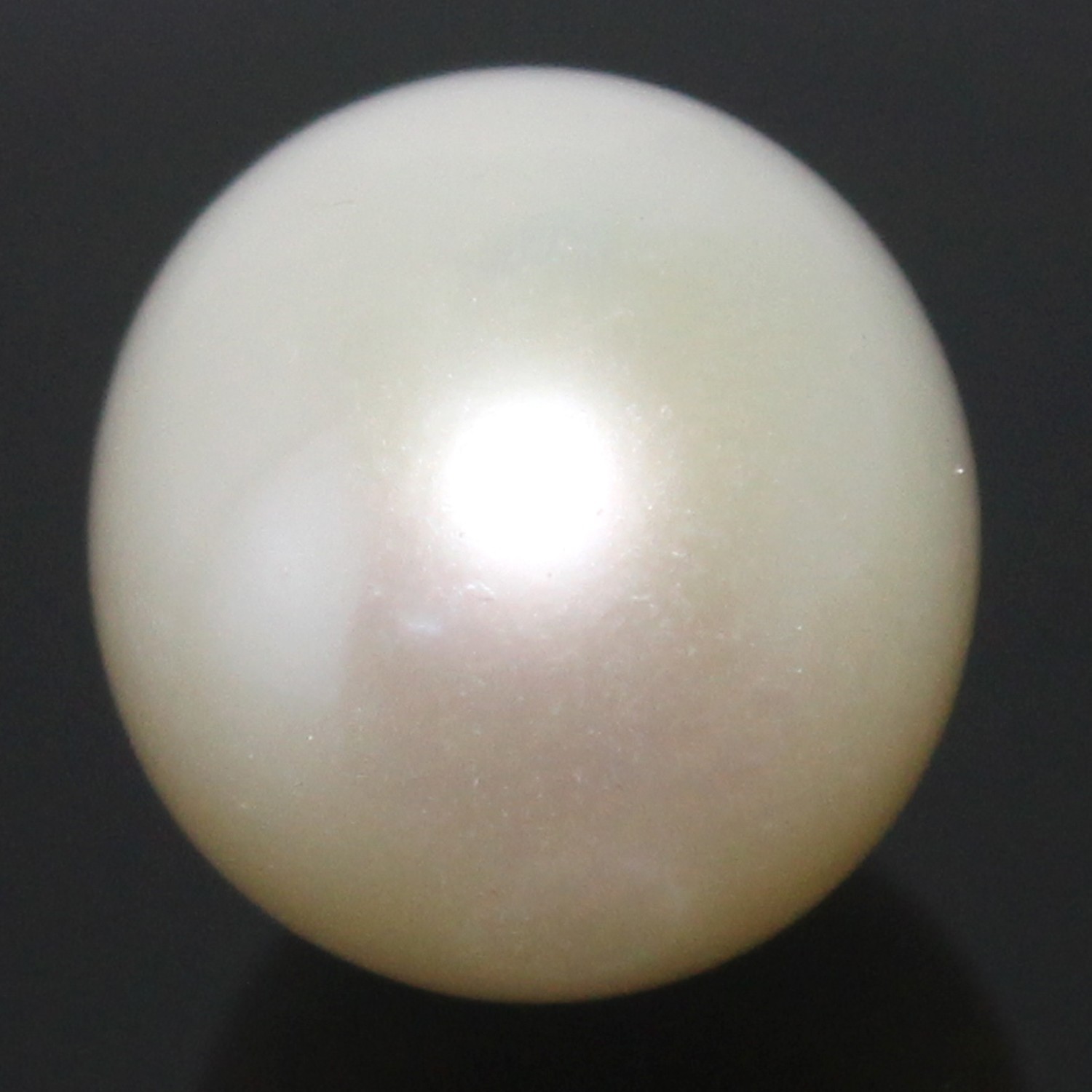 Natural South Sea 8.45 Ct “Cook Islands” 12.00 MM Round Moon White Loose Pearl