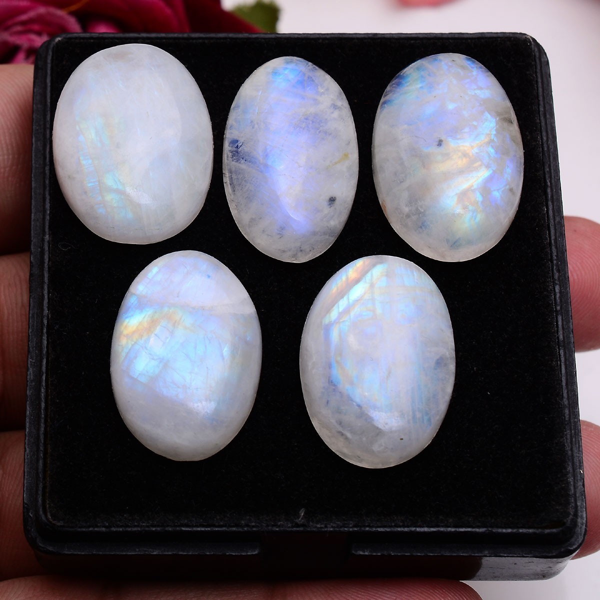 5 Pcs Natural Rainbow Moonstone 23mm-25mm Oval Cabochon Untreated Huge Gemstones