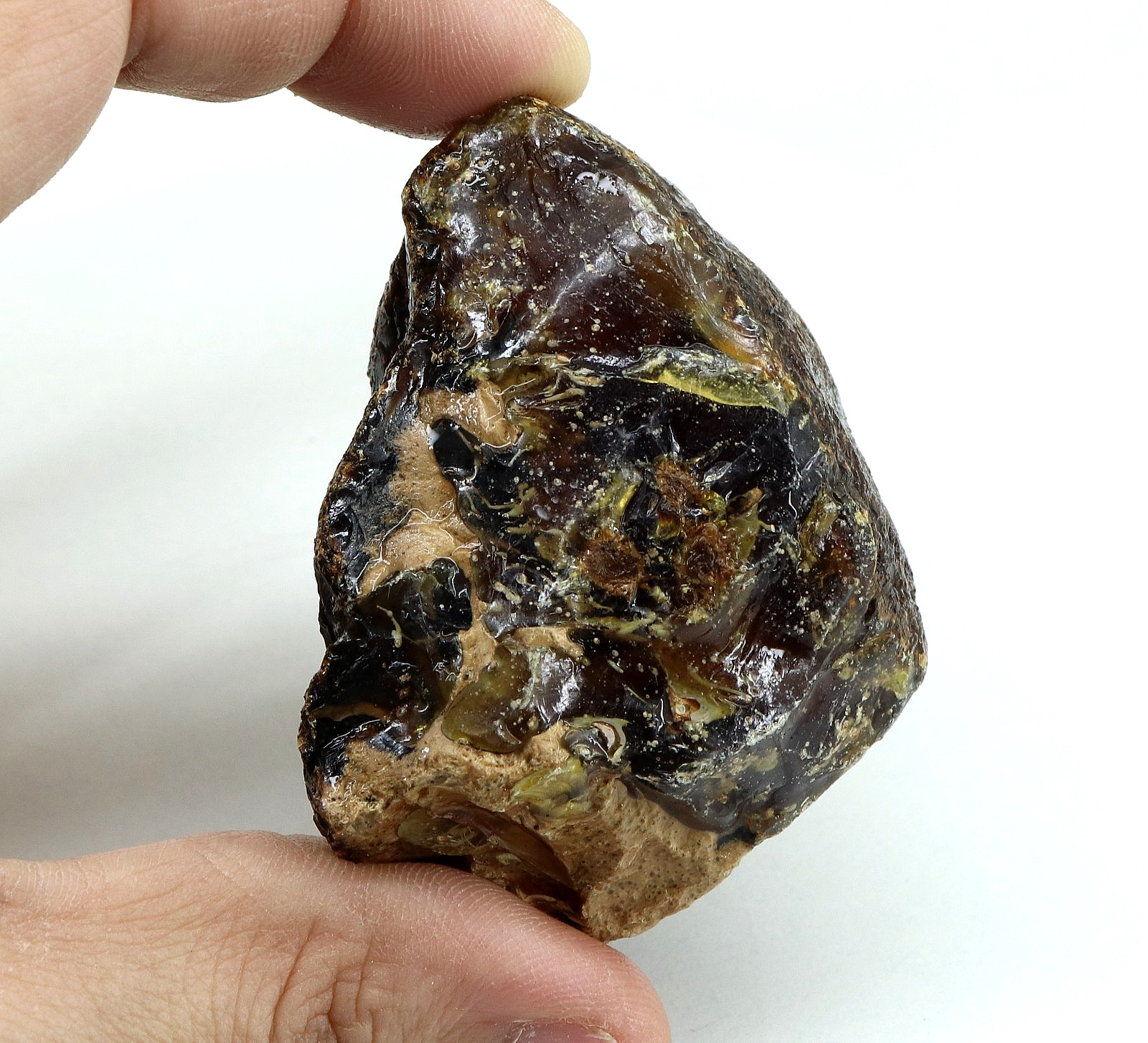 Natural Honey Baltic Amber Untreated Specimen Certified Rough Gemstone 233 Ct.
