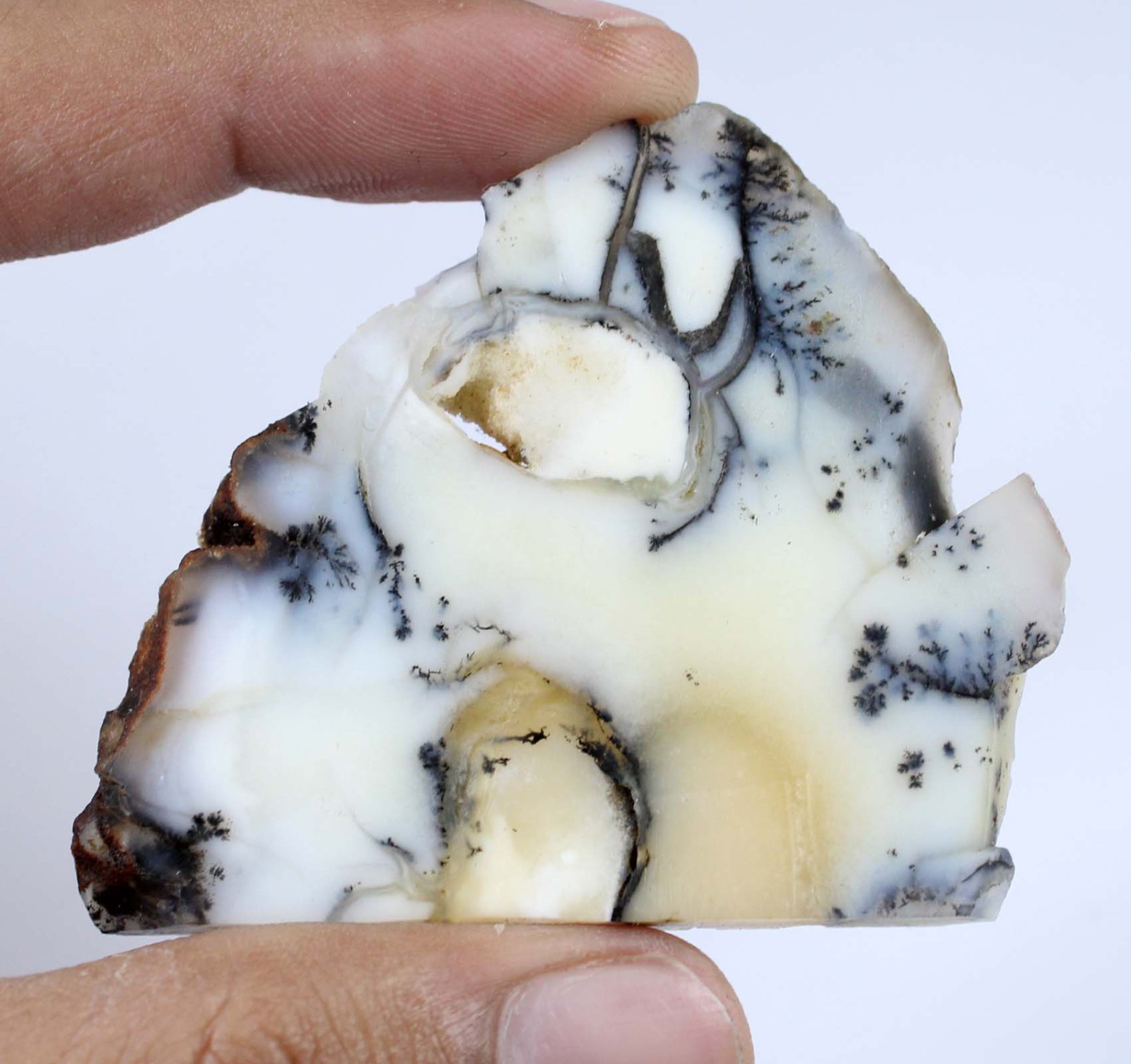 Father’s Day Offers Natural Dendrite Opal 128.50 Ct/52 mm Gemstone Slab Rough