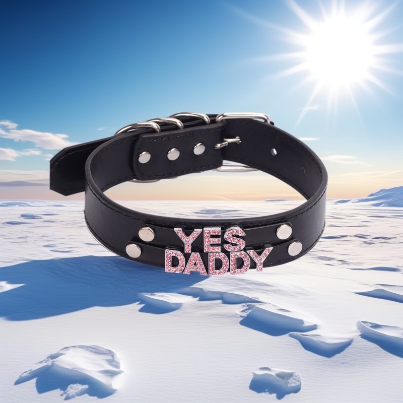 OWNED Chocker 30MM Choker Necklace BDSM Gift DIY Custom Collar Pu Leather N7
