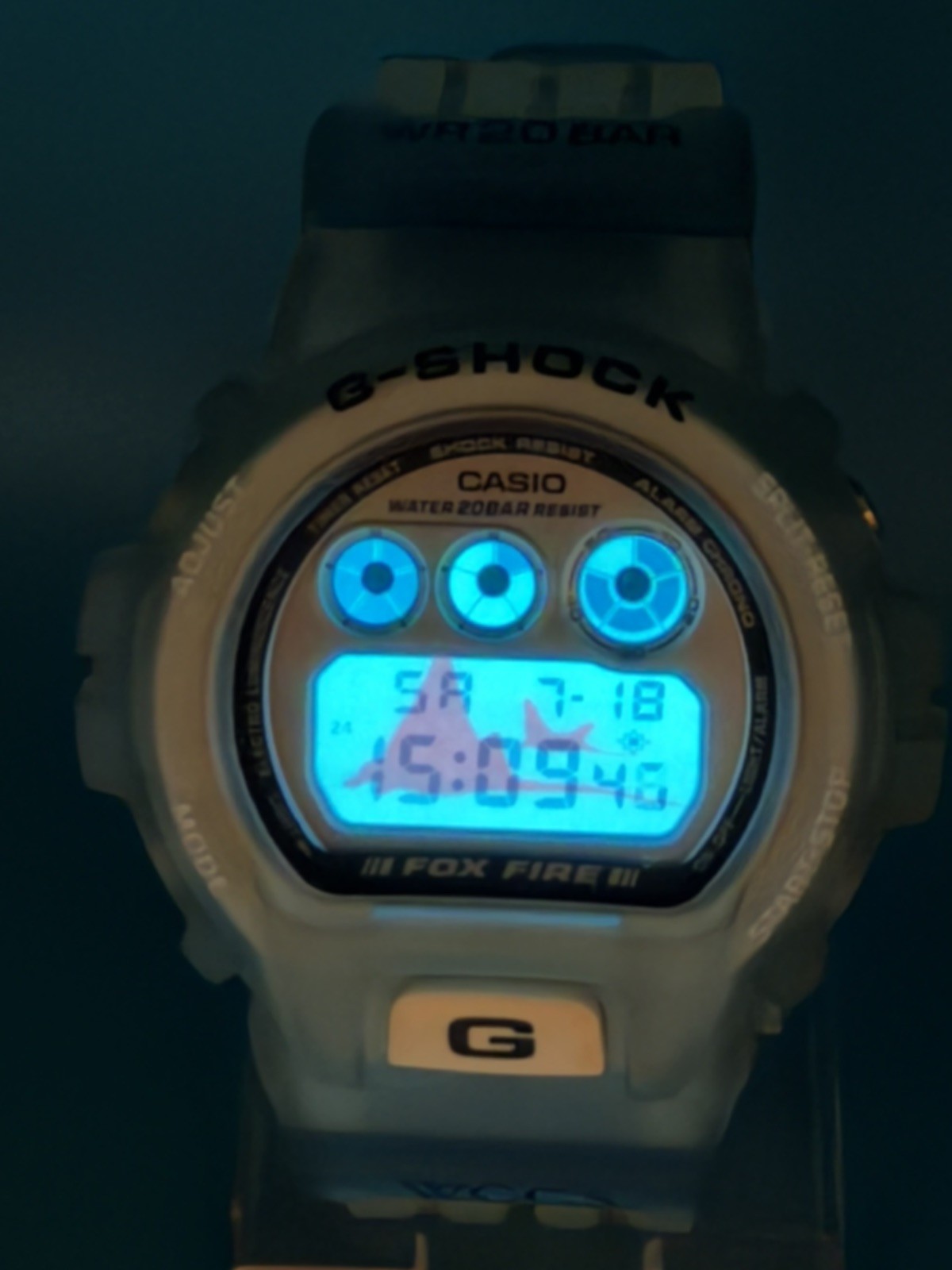CASIO VINTAGE G-SHOCK DW-6900WC-2BT World Coral Reef Conservation W.C.C.S. 1997