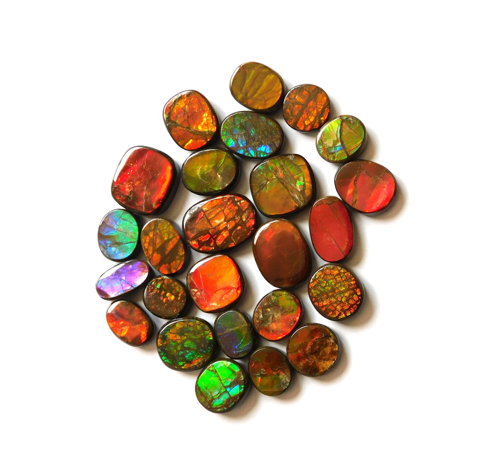 110.40 Cts Natural Ammolite 25 Pcs Lot Loose Cabochon Gemstone CN06