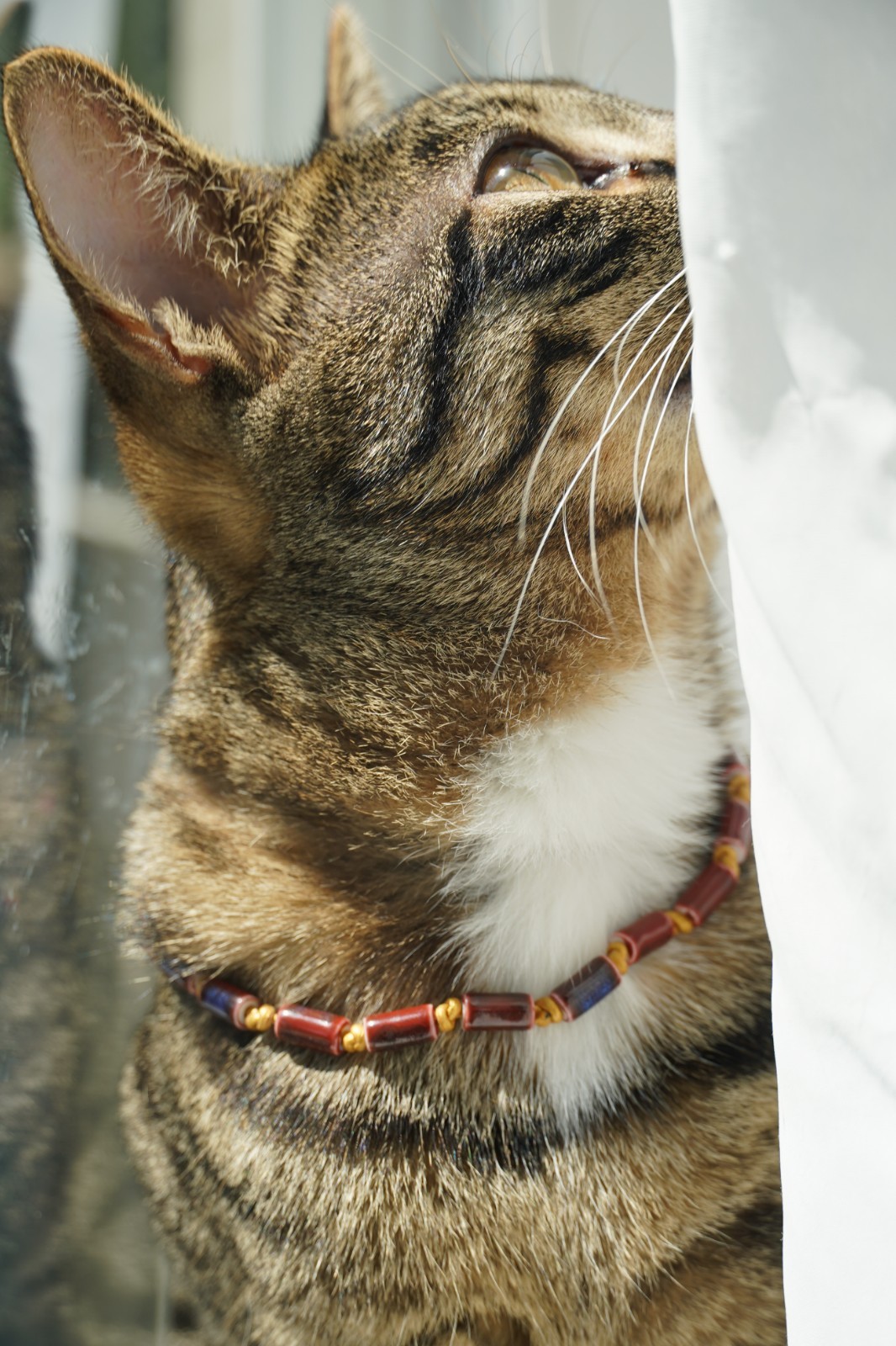 Burnt Red Glass Tube Beaded Cord 11″ Necklace For Cats or Small Dogs