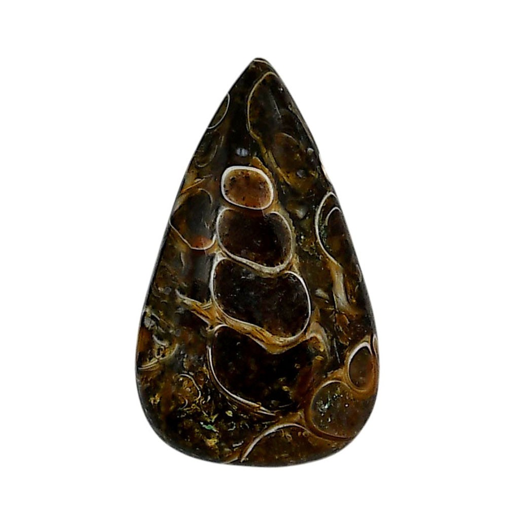 Natural Turtella Jasper 18.2×30.6×5.8 mm Pear Shape Polished Gemstone LS70-05785