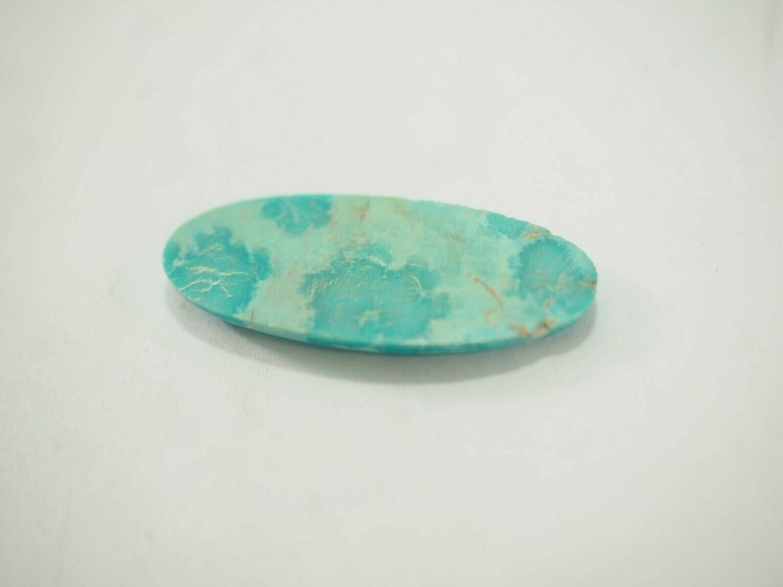 12.01 carat Natural Turquoise Mountain Cabochon 24.6 x 15.8 x 3.7mm TC-137 GEM
