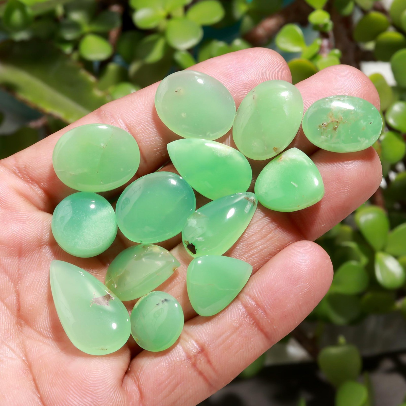 20 Pcs 191 Cts Natural Chrysoprase Cabochon Gemstone Lot 13×25-12×15 mm #R-12308