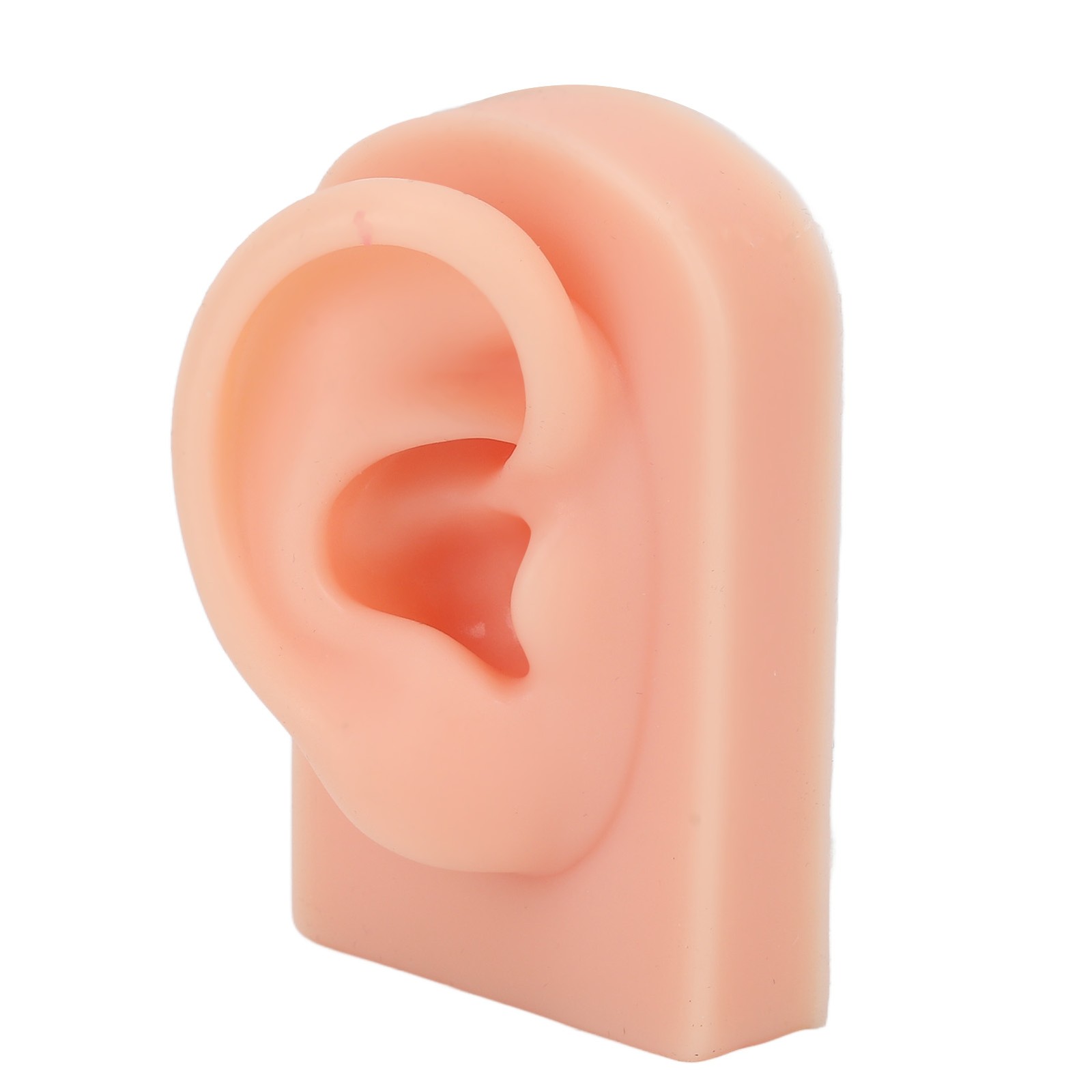 Soft Silicone Ear Model Reusable For Piercing Training (Light Complexion)