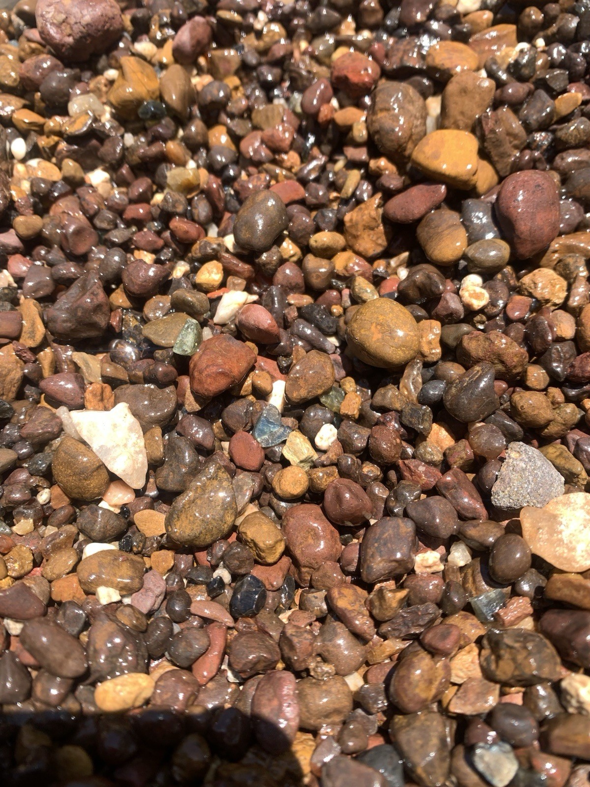 SAPPHIRE WASH CONCENTRATE RUBYVALE QUEENSLAND GEM FIELDS 300 GRAM BAGS SWC001