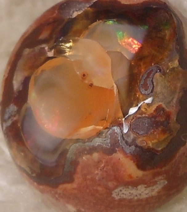 11.70ct Mexican Fire Opal 17x14x7mm Natural Earth-Mined Stone