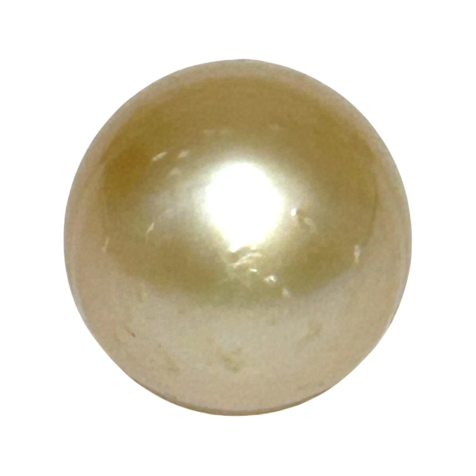 Refined 23.6ct 13.9 x 16.4mm Genuine Golden Australian South Sea Pearl Loose