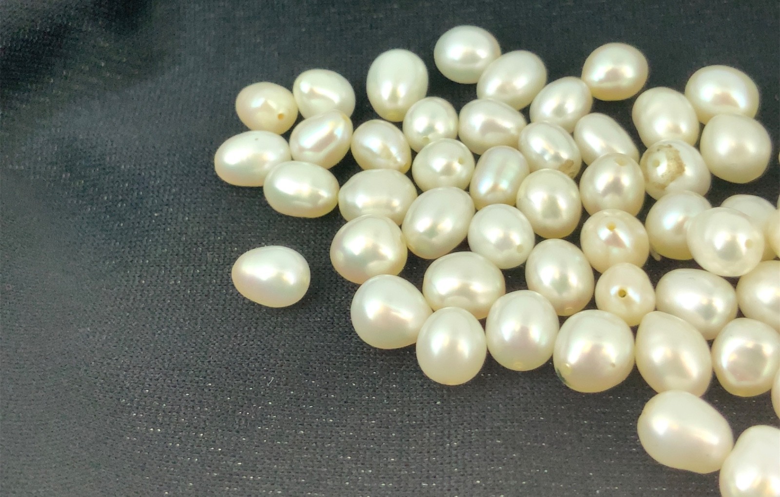 Lot of 173 Genuine Cultured Freshwater Pearls Gemstone Jewelry Drilled – 5-6mm