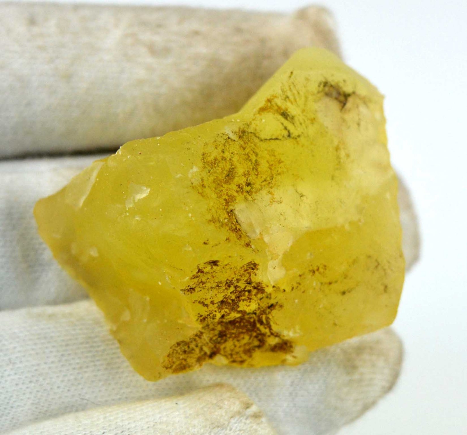 Australian Yellow Opal Healing Gemstone Rough Natural Untreated