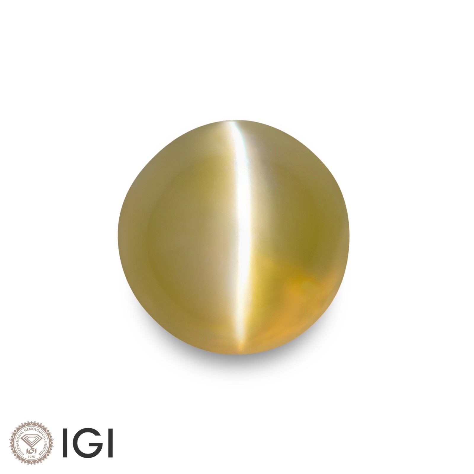 IGI Certified CEYLON Chrysoberyl Cat’s Eye 2.08 Ct. Natural Untreated 6 MM ROUND
