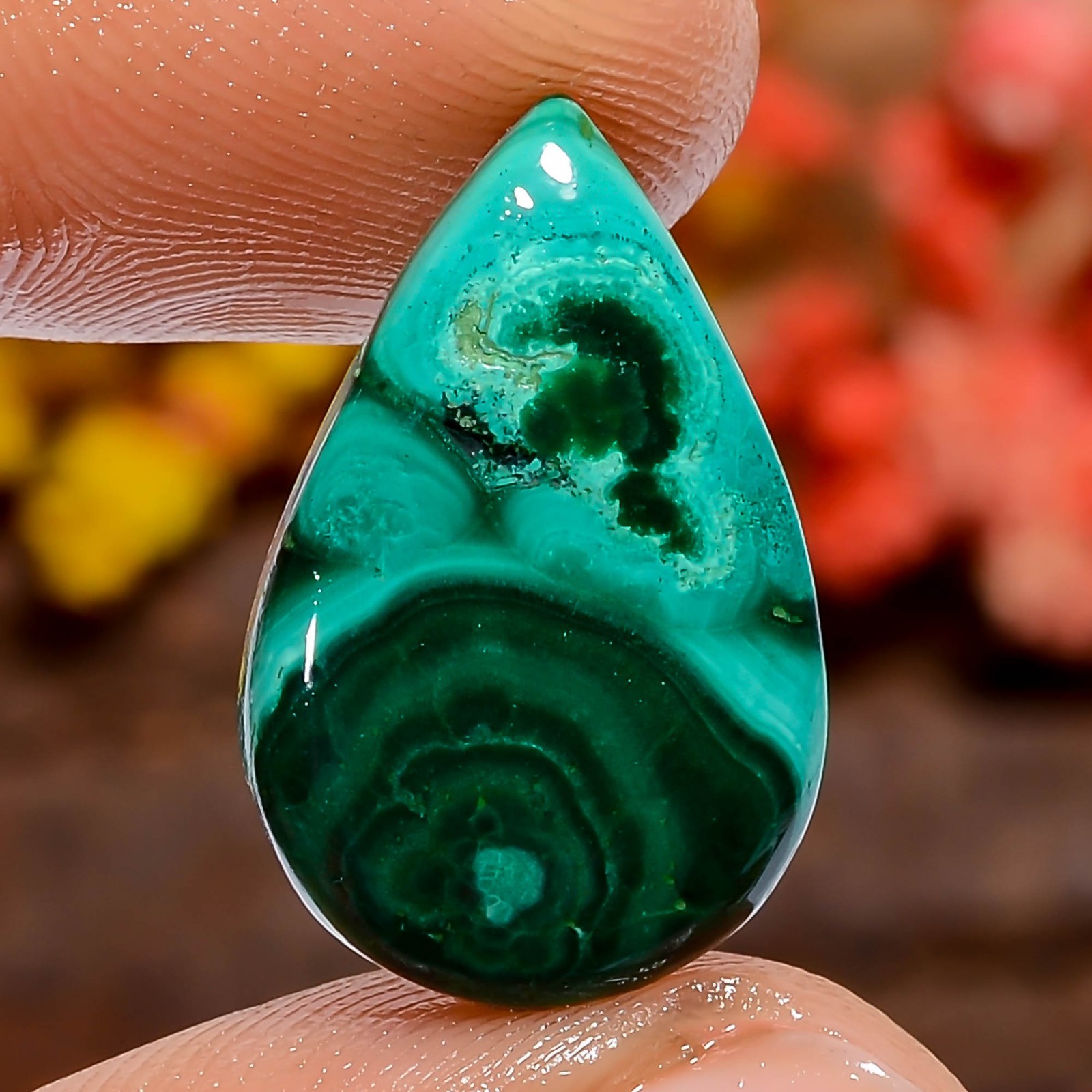 Natural Malachite Green Pear 11Ct 19X12X2mm Loose Gemstone Collector Africa