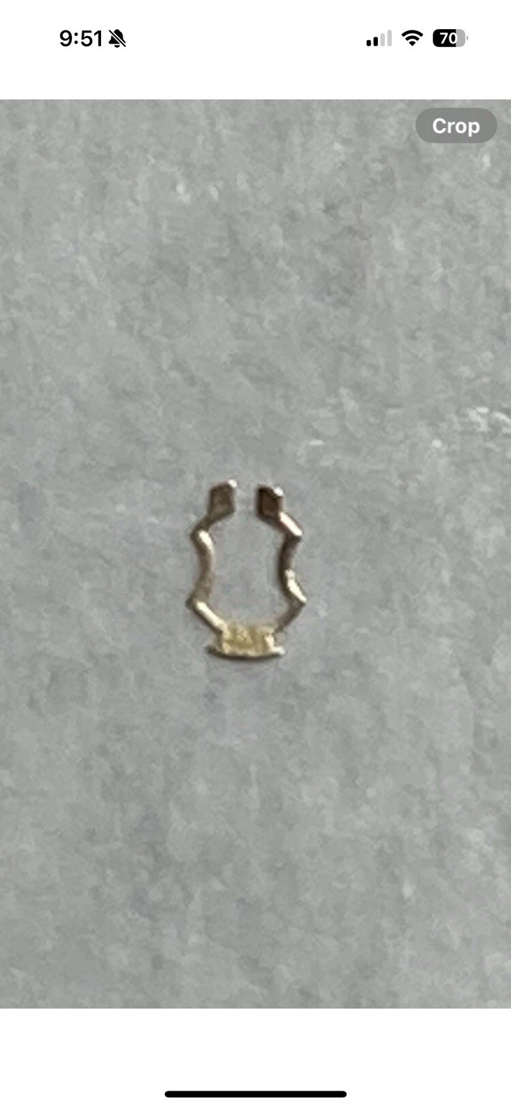 Longines Incabloc Shock Spring #270.03. See Description for movement details.