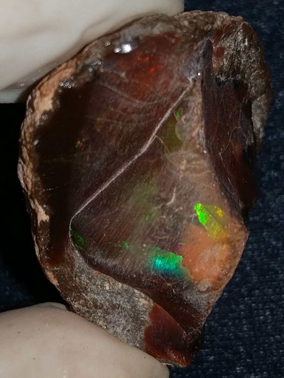 43 Carat Ethiopian Chocolate Shewa Rough Opal #6100127035