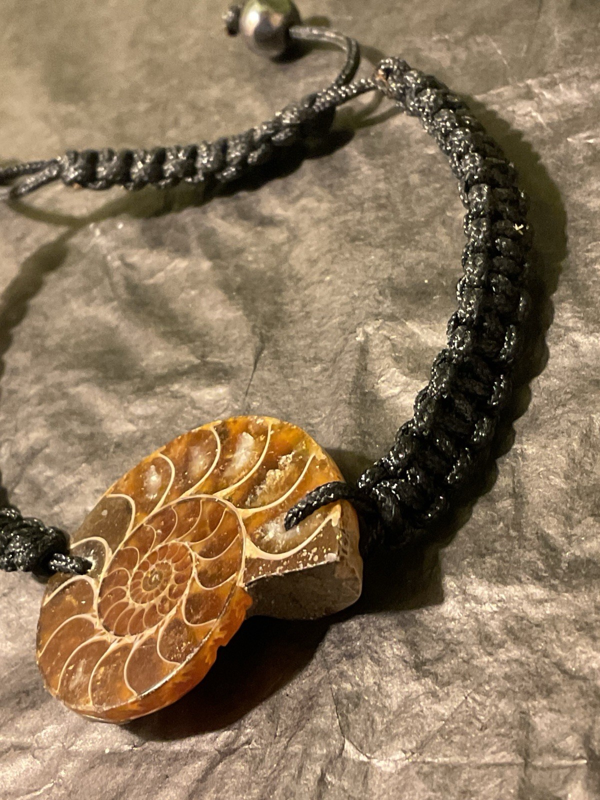 Ammonite Fossil Cord Bracelet