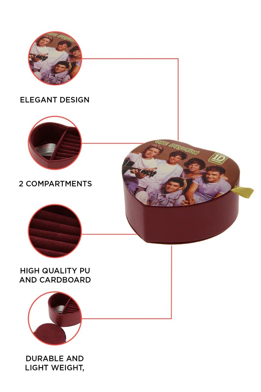 One Direction Brown Jewelry Box-Organizer-Large Capacity-Compact & Portable