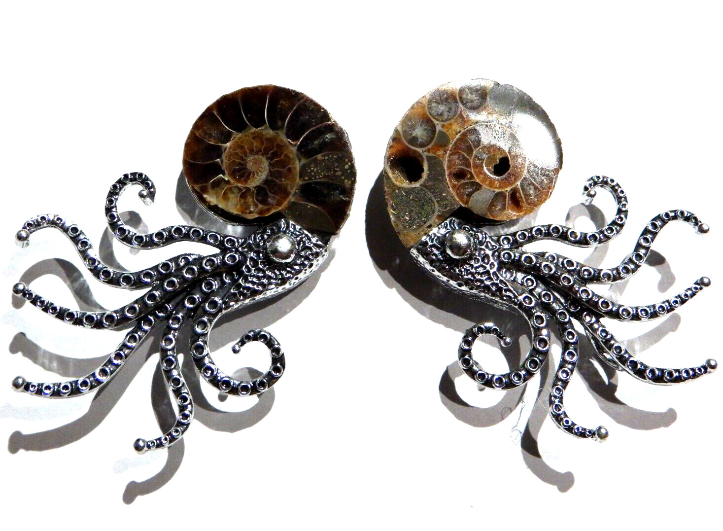 FOSSIL NAUTILUS BROOCH PENDANT ammonite shell Kraken octopus steampunk pin 2V