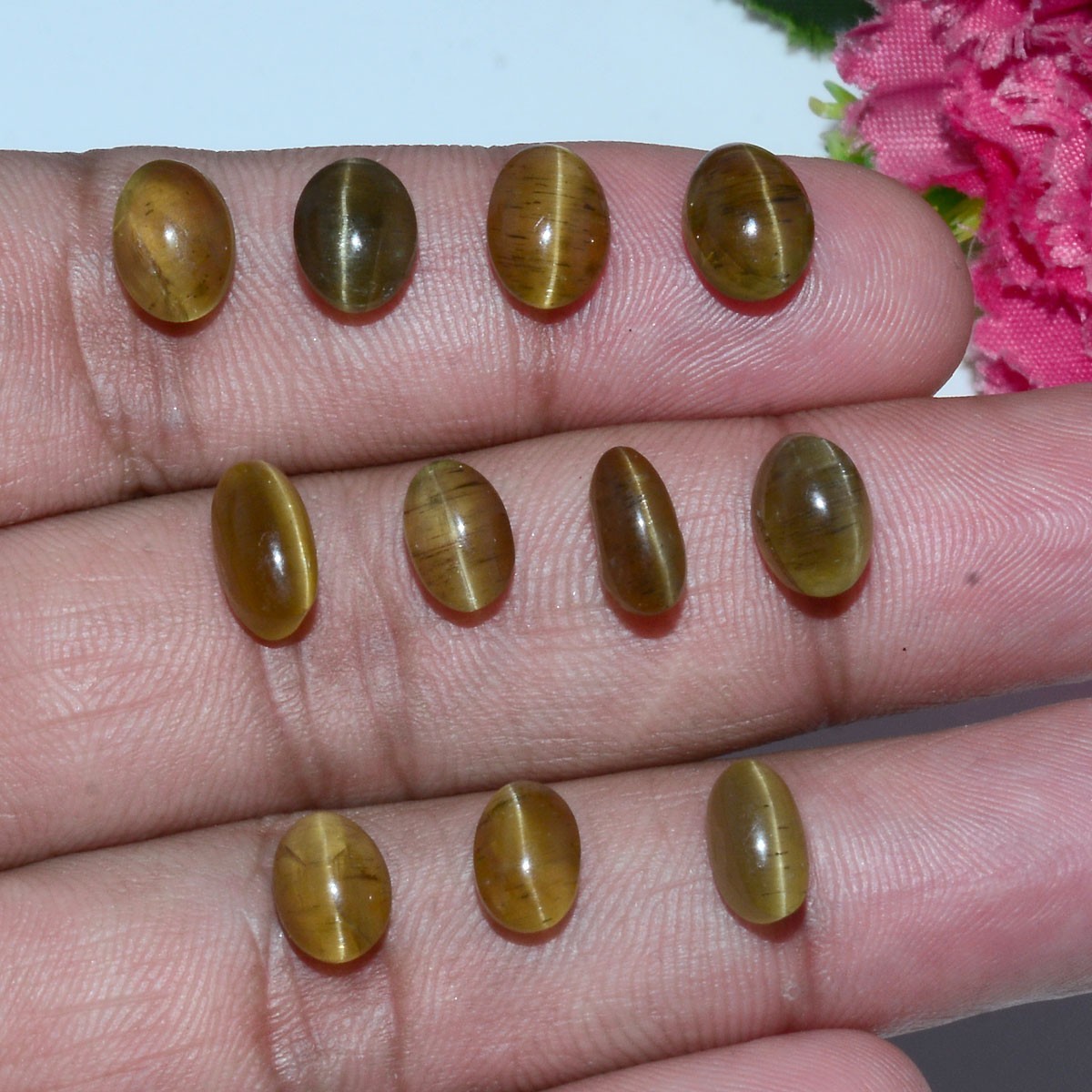 11 Pcs Natural Apatite Cats Eye 8mm-9mm Oval Cabochon Huge Loose Gemstones Lot