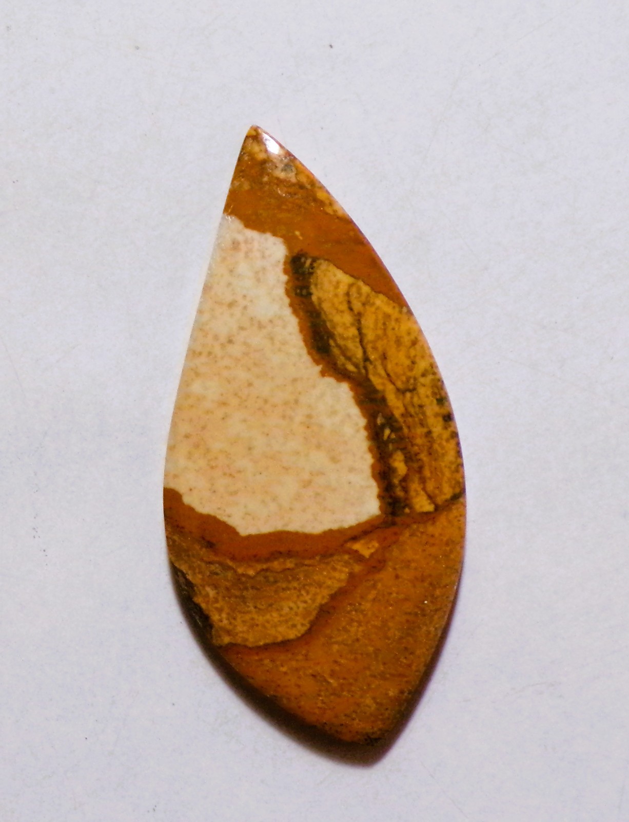 27.90 Cts Natural Picture Jasper Cabochon Loose Gemstone 46X22X4MM