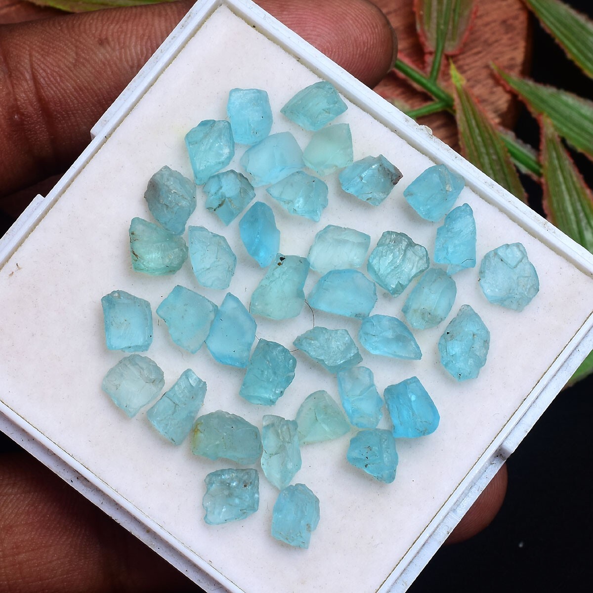 37 Pcs Natural Apatite Rough 6.40mm-9.13mm Untreated Huge Loose Gemstones lot