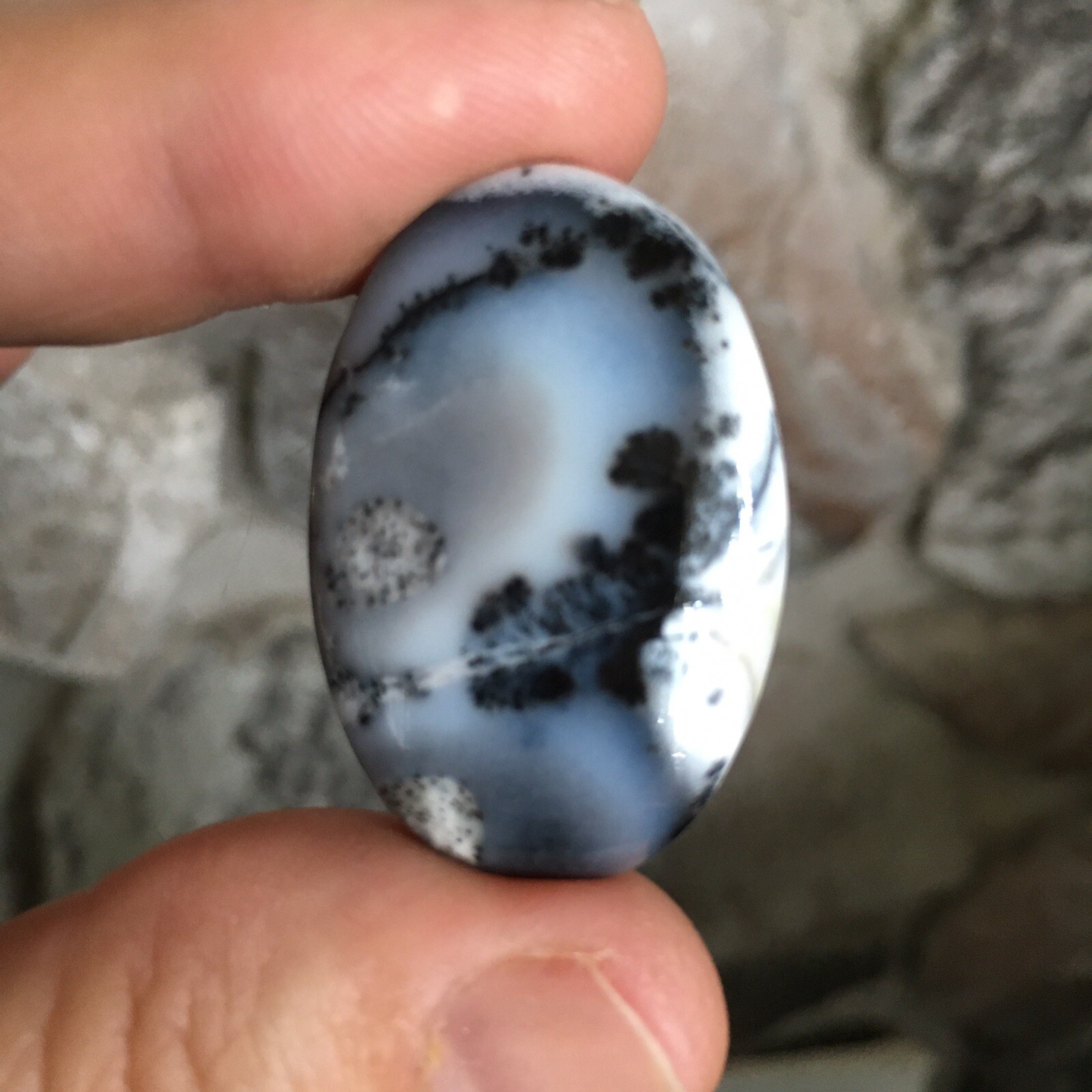 35x24x6mm Picture Like Dendrite Opal Oval Cabochon Loose Gemstone