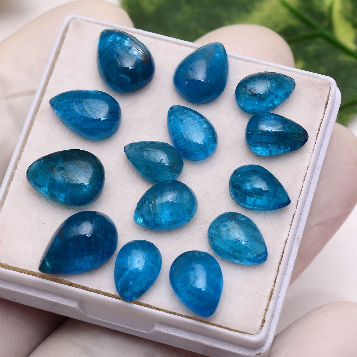 Set 14 Pcs Natural Apatite Untreated 8mm-12mm Pear Stunning Loose Gemstones Lot