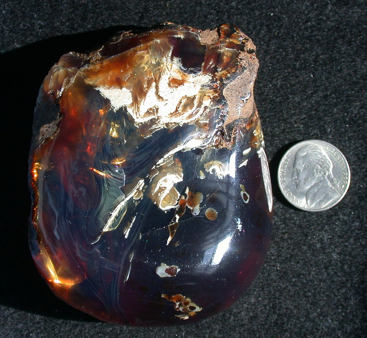 Beautiful BLUE Multicolor AMBER Fossil Gemstone LARGE 132 gram Piece