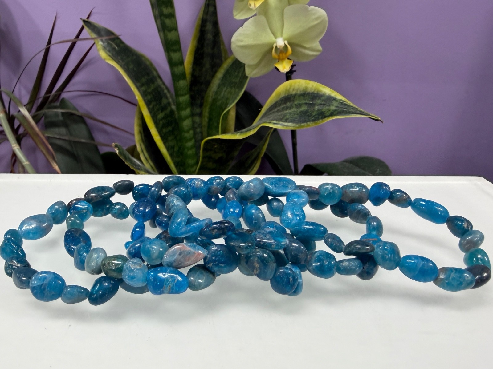 Wholesale 6 Pcs 8x10mm Apatite Natural Crystal tumble Stretch Bracelet 7.5″