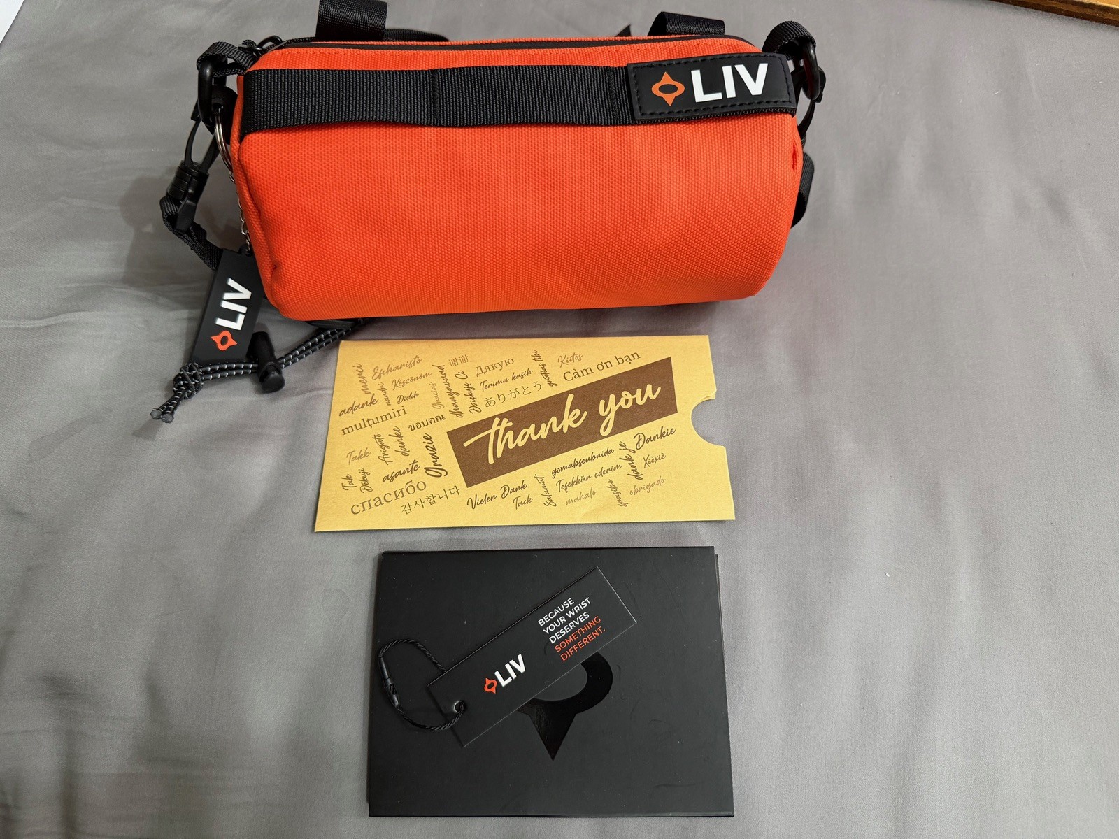 LIV Gravel – Cactus Grey Mens Automatic Watch – Complete Set MINT
