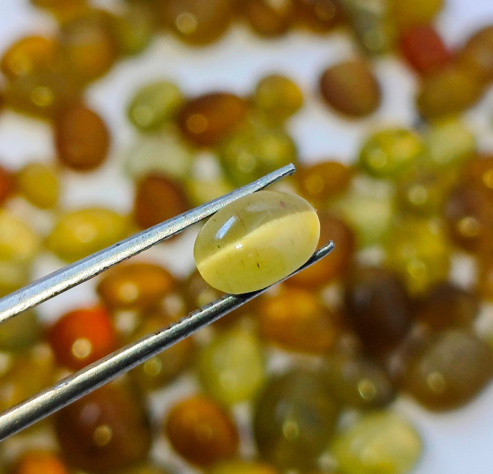 Natural Chrysoberyl Cat’s Eye 5-10 MM Oval Cabochon Loose Gemstone Lot