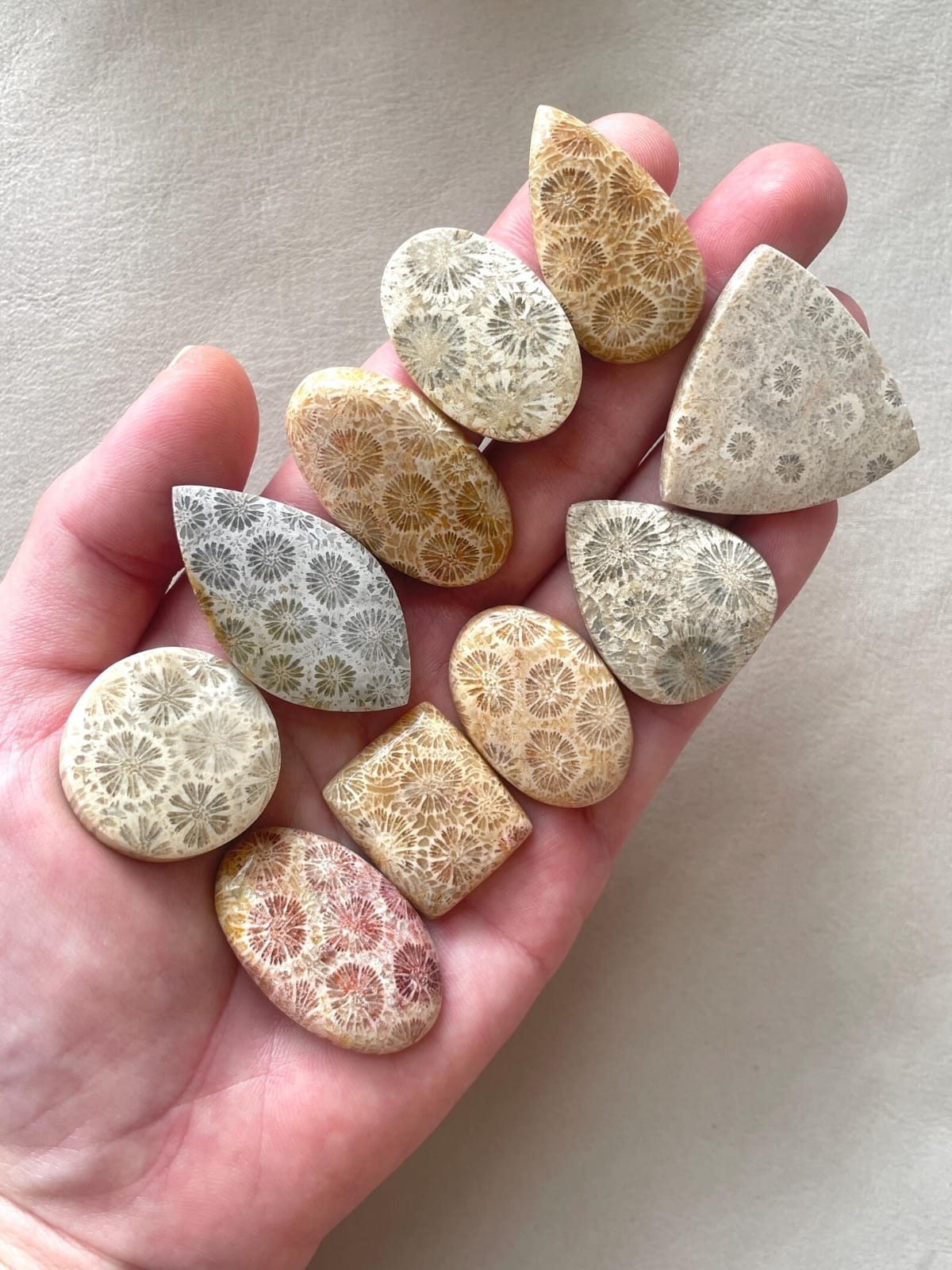 Natural Fossil Coral Cabochon Indonesian Fossilized flat back flower Gemstone