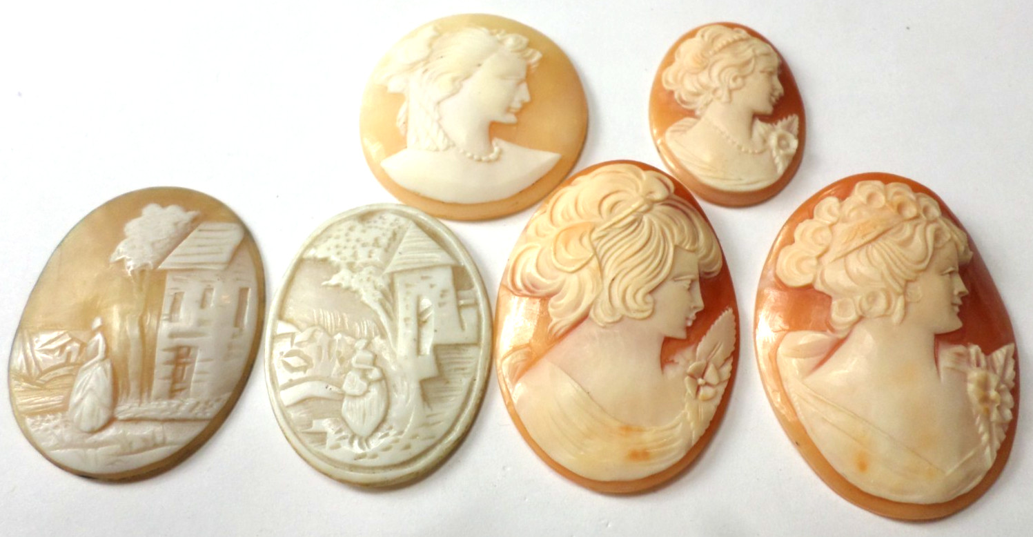 6 Vintage Loose Hand Carved Shell Women L-XL Classic Cameos 45×33 to 30x23mm