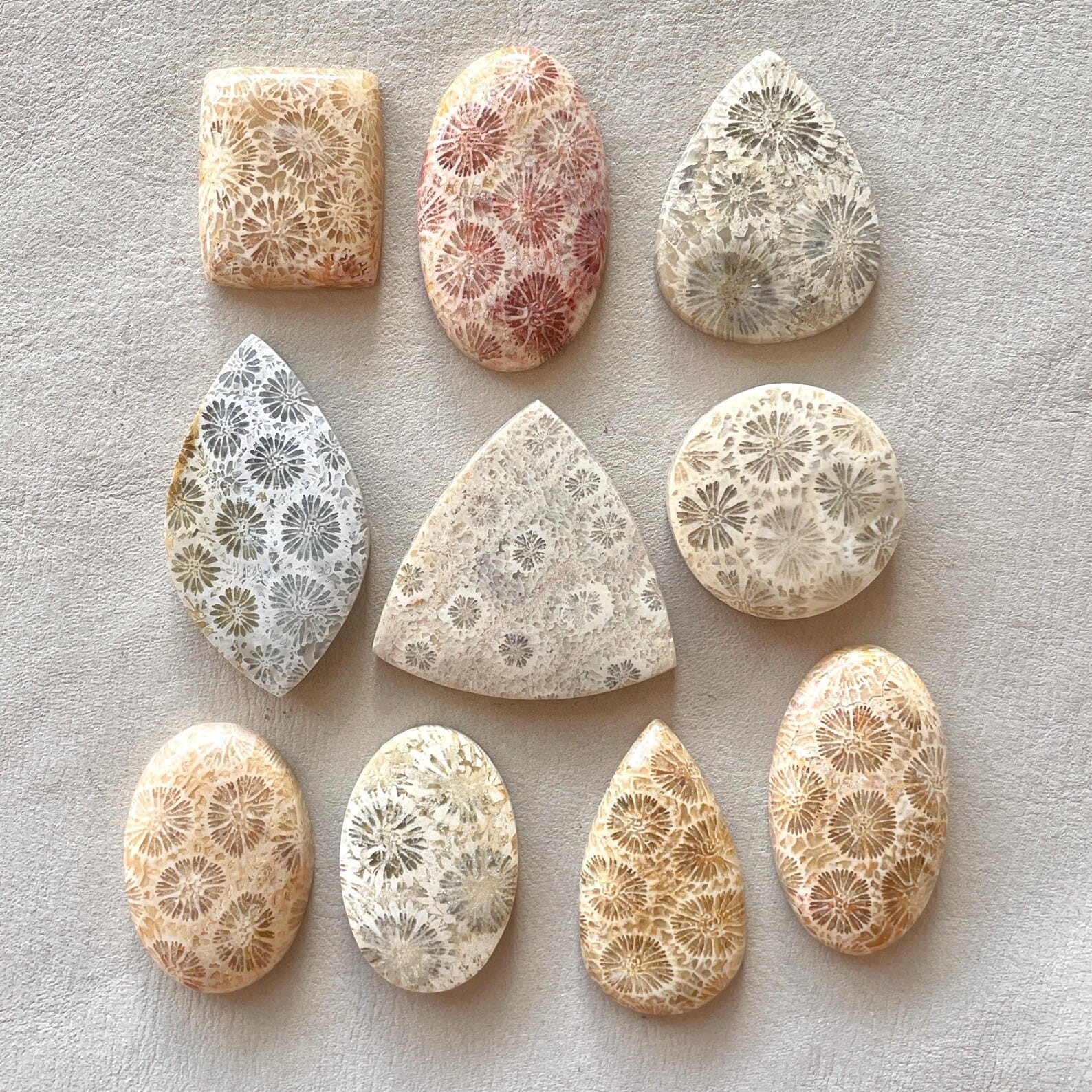 Natural Fossil Coral Cabochon Indonesian Fossilized flat back flower Gemstone