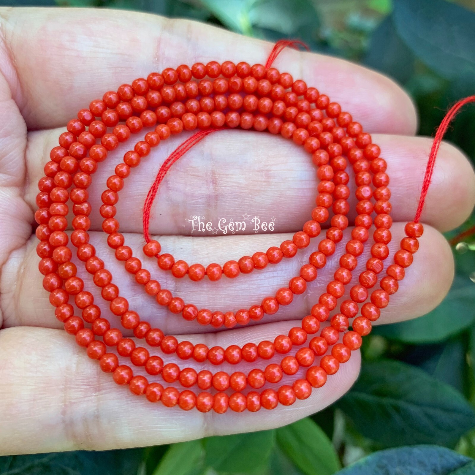 2.5mm AAA Top Grade Italian Sardinia Undyed Tomato Red Seed Coral Round Bead 5″