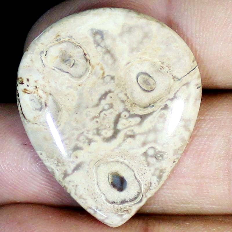 44.45 CT Natural Petrified Wood Agate PEAR Cabochon , Petrified stone 31x36x5 mm
