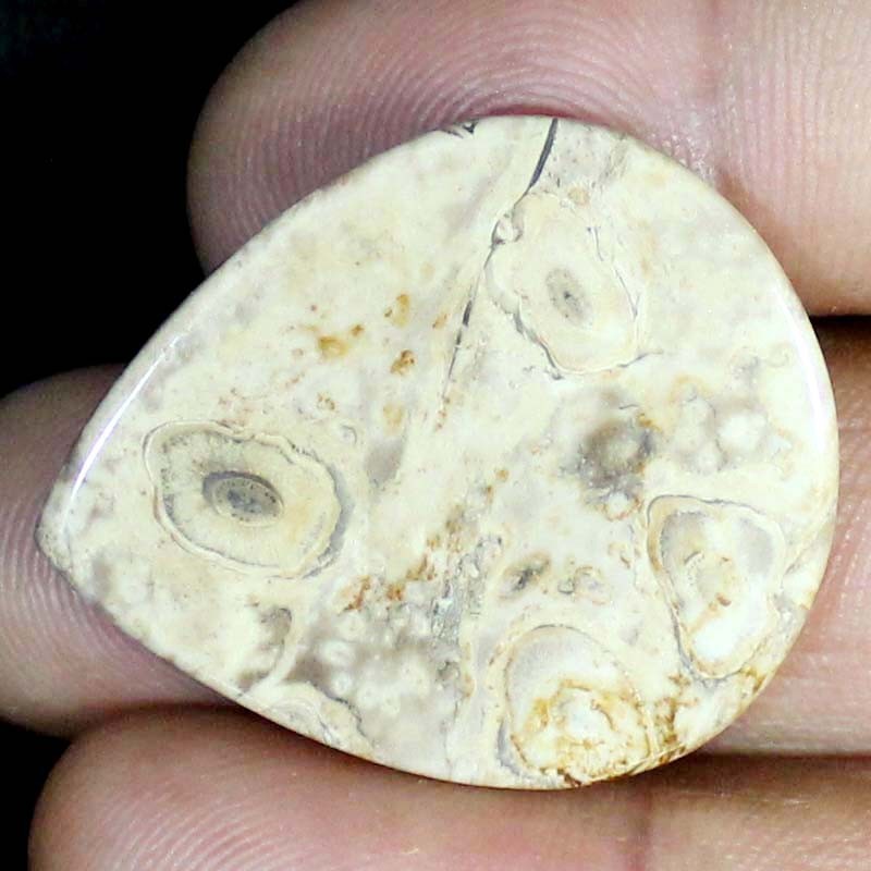 44.45 CT Natural Petrified Wood Agate PEAR Cabochon , Petrified stone 31x36x5 mm