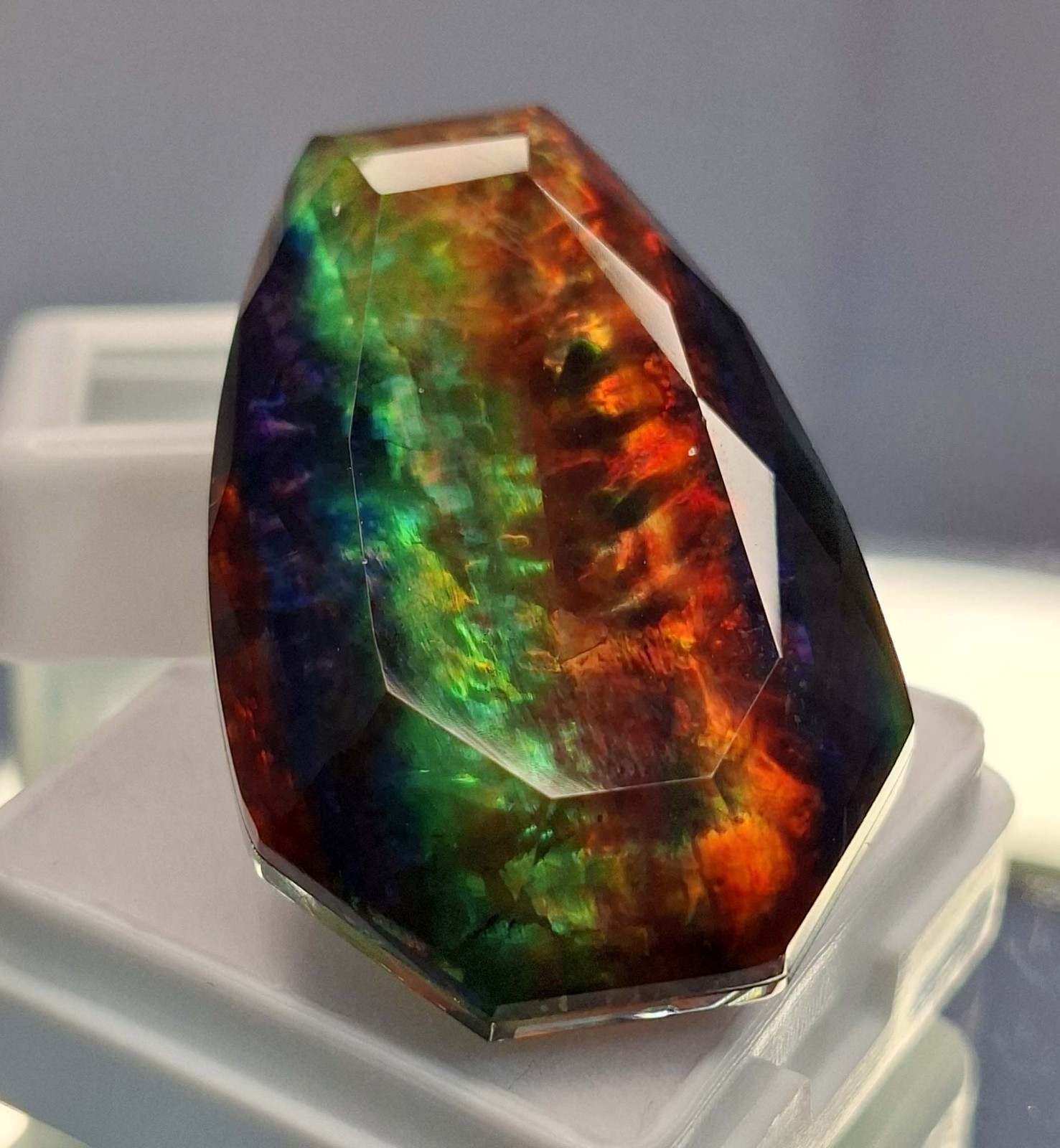 Opal Like Organic Natural Ammolite Fancy Cut 62-64 Ct Loose Gemstone RK914