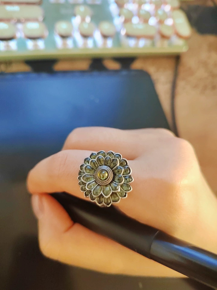 Dark souls Game Ring Cloranthy Ring Video Game Cosplay Adjustable Size