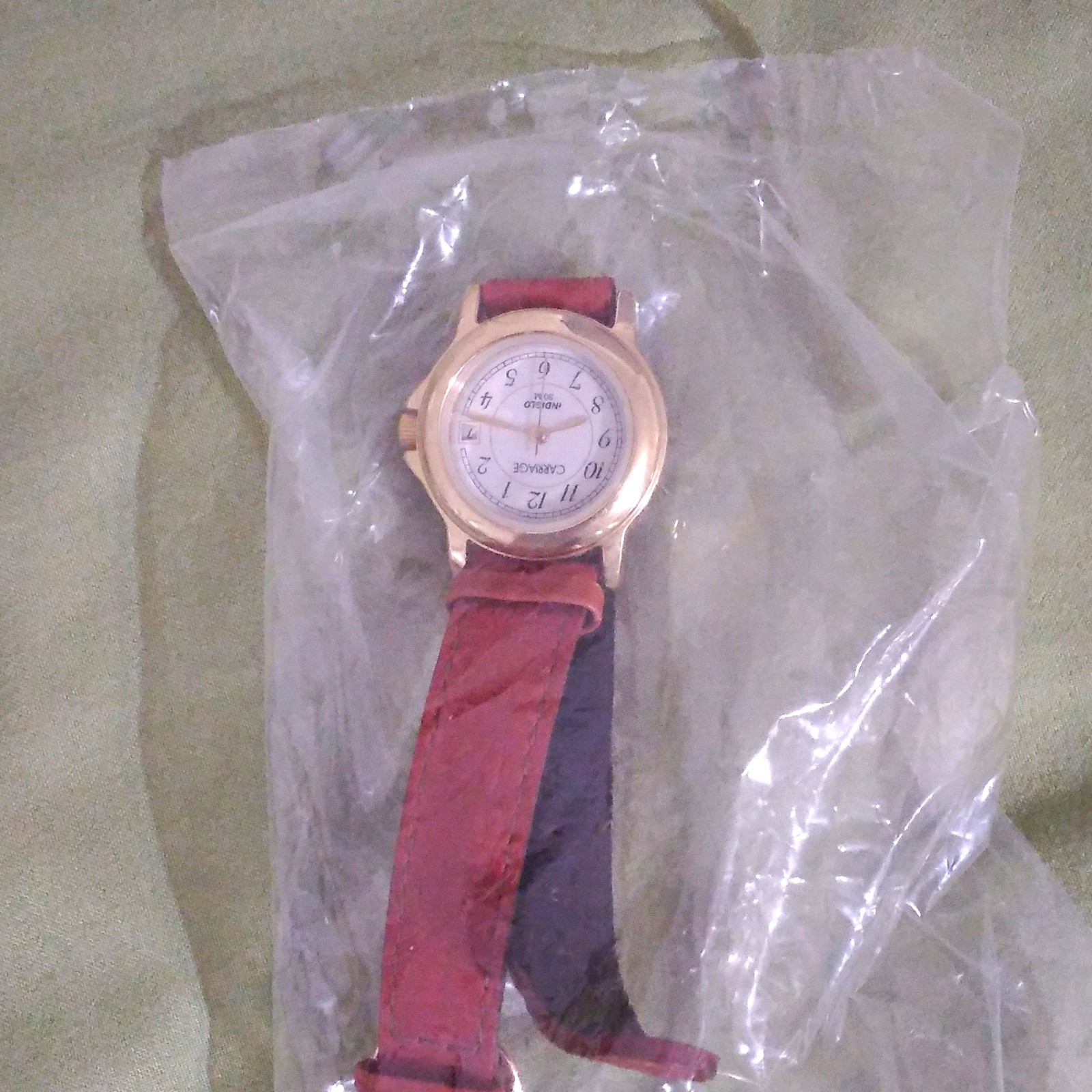 Timex Carriage Women’s Quartz Analog Date Gold Tone Brown Leather 25mm 30m