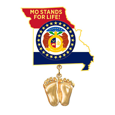 Precious Feet, 14K Gold Plated, Missouri Flag Jewelry, Lapel Pin