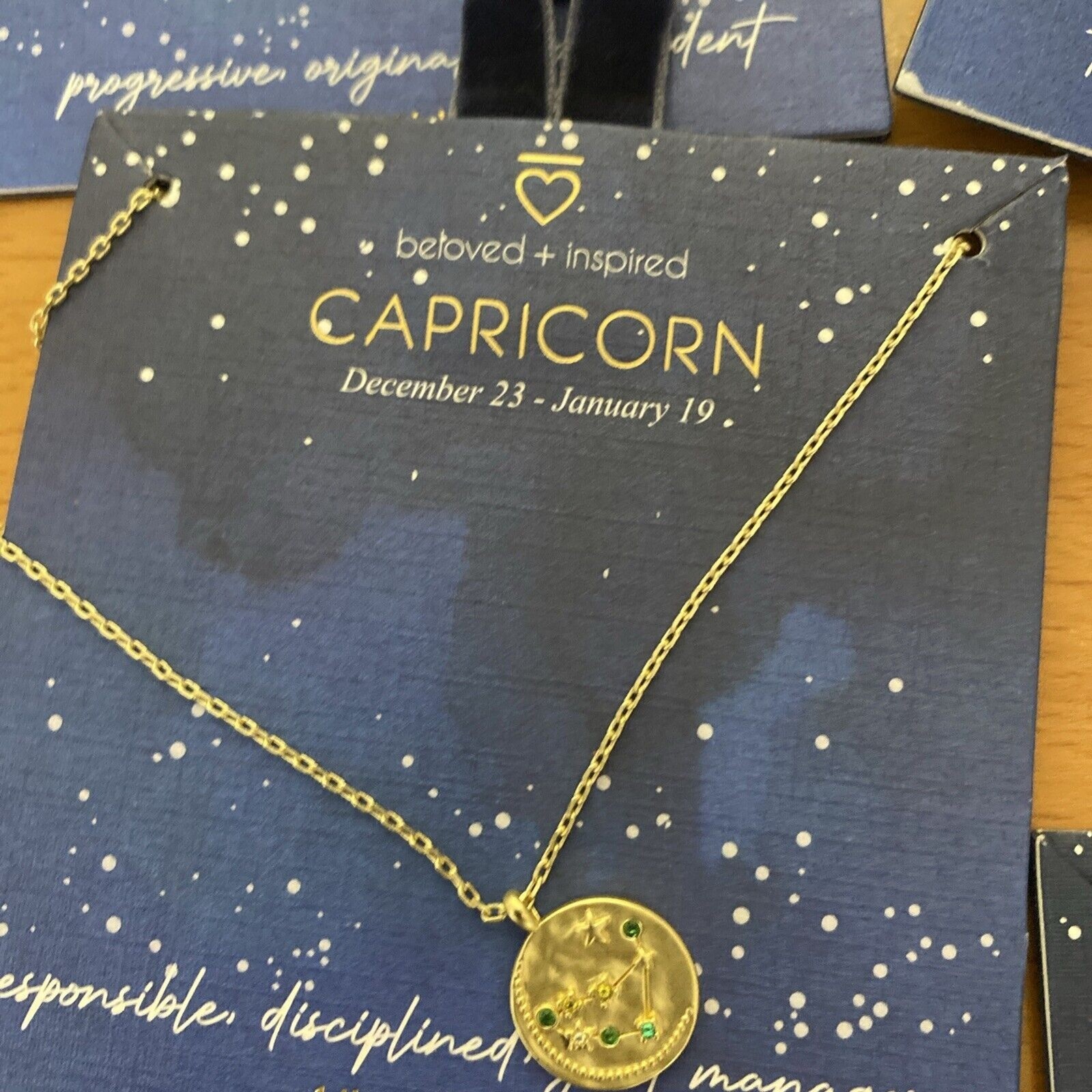 Beloved + Inspired Astrology Necklace 14K Dipped NEW Assorted Signs