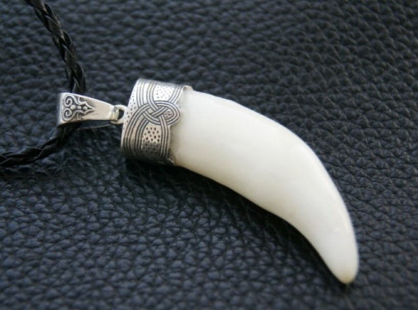 Silver Wolf teeth jewelry Animal Teeth Wolf necklace Wolf head Tooth necklace