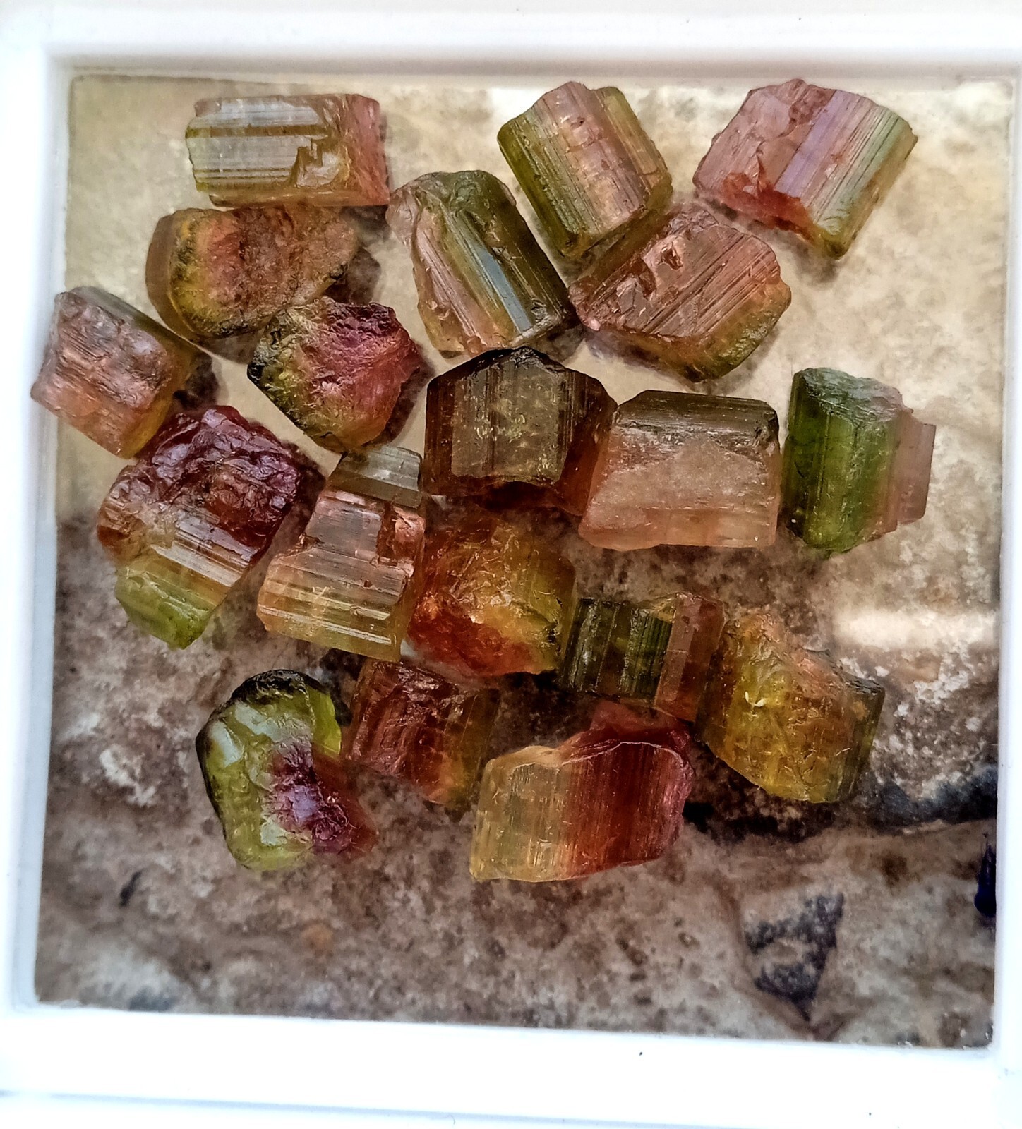 39 Carat Natural Watermelon Bi-Unique Amazing Color Tourmaline Rough 19 Pcs Lot