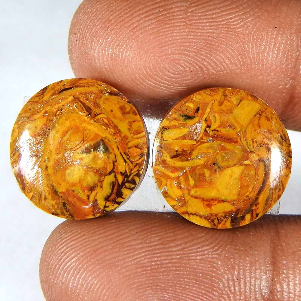 18.10Cts100%Natural Mariam Jasper Round Cabochon(14×3)Loose Gemstone