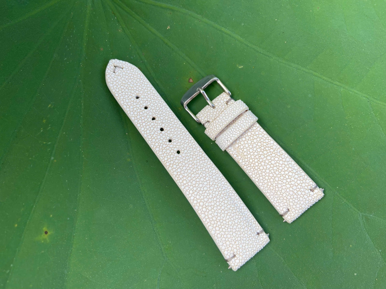 White Stingray Leather Watch Strap Band, Size 18mm 19mm 20mm 21mm 22mm 24mm 26mm
